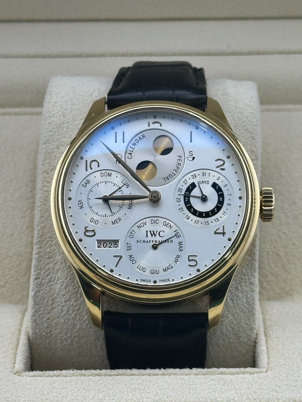 IWC Perpetual Calendar/ 18 Karat Yellow Gold/ IW502107/ Leather Strap